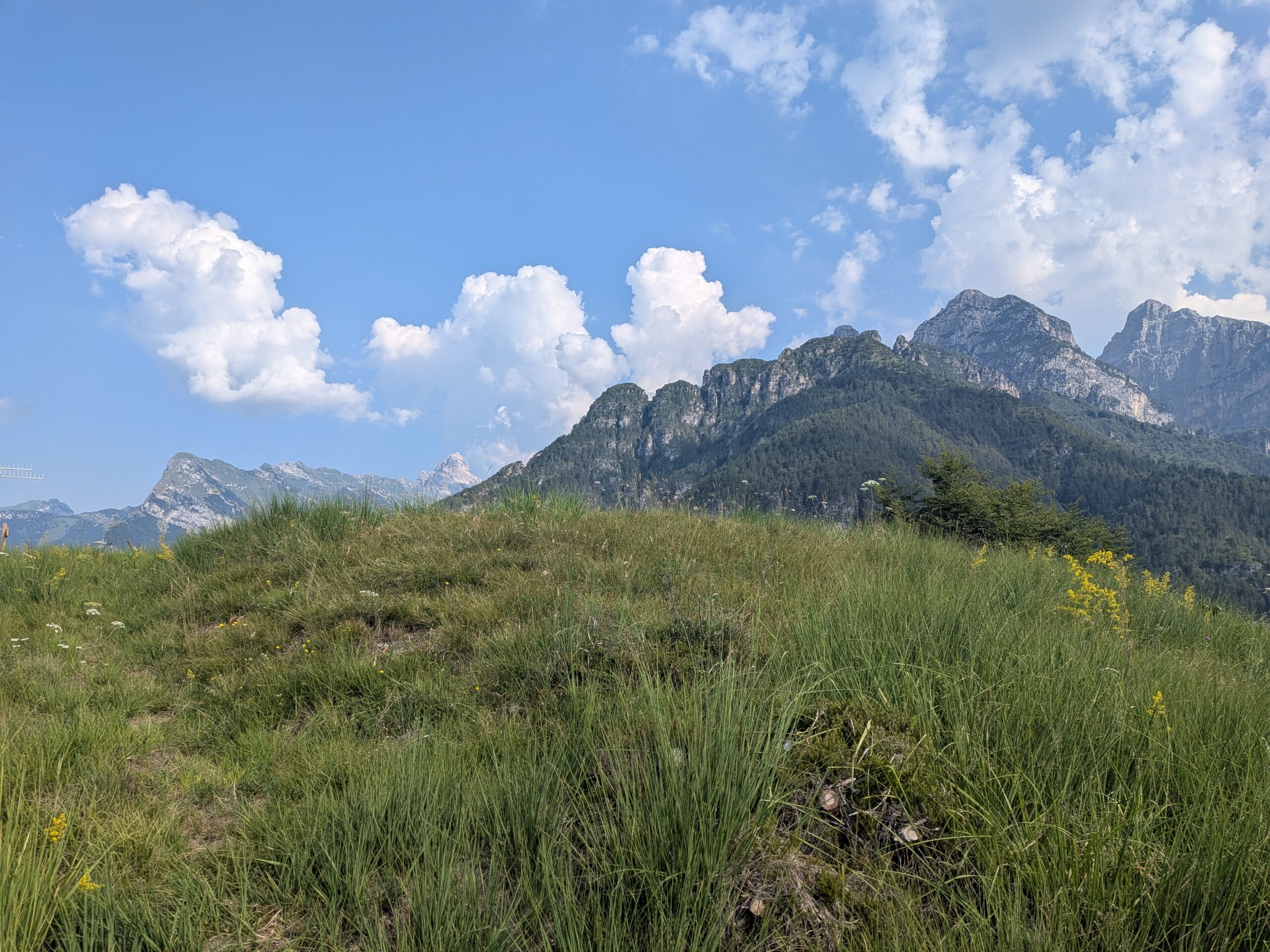 cima del monte piolsa